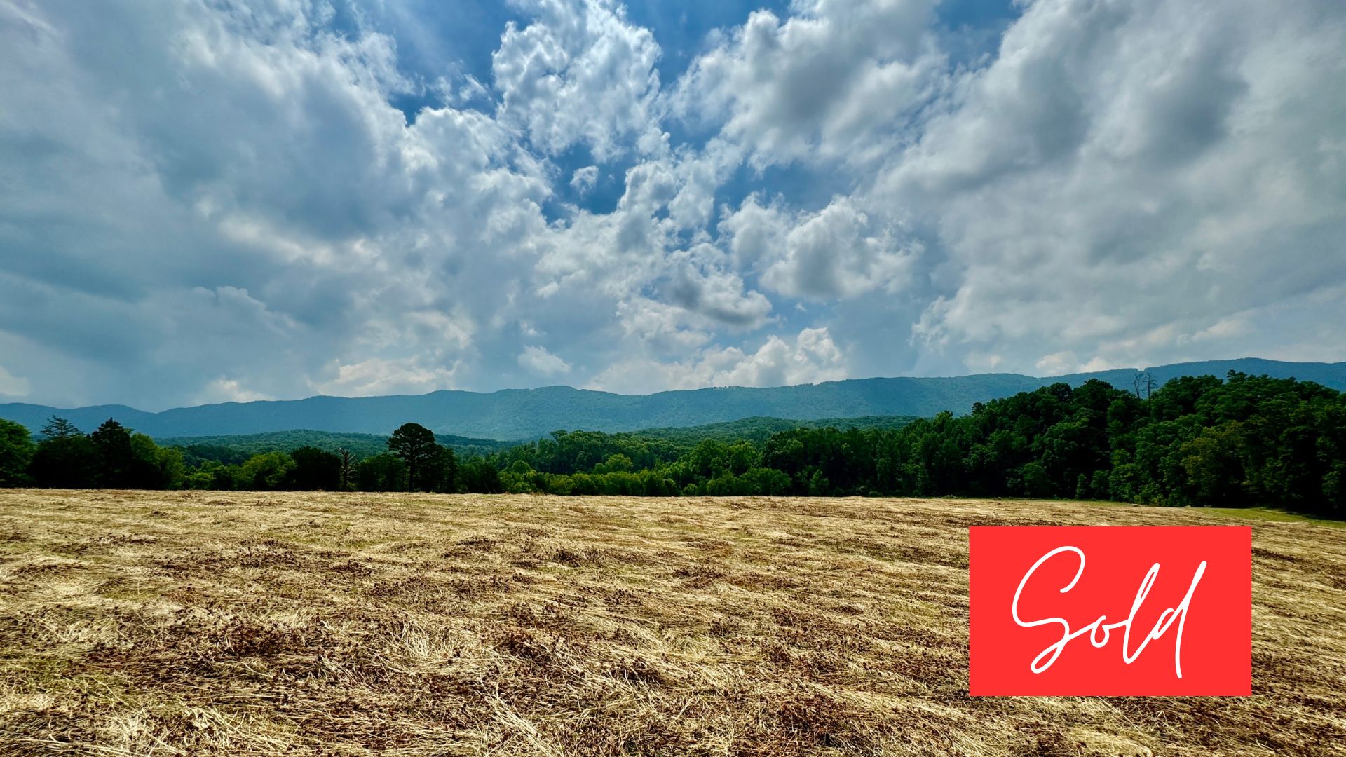 This image is by Powell Auction & Realty.