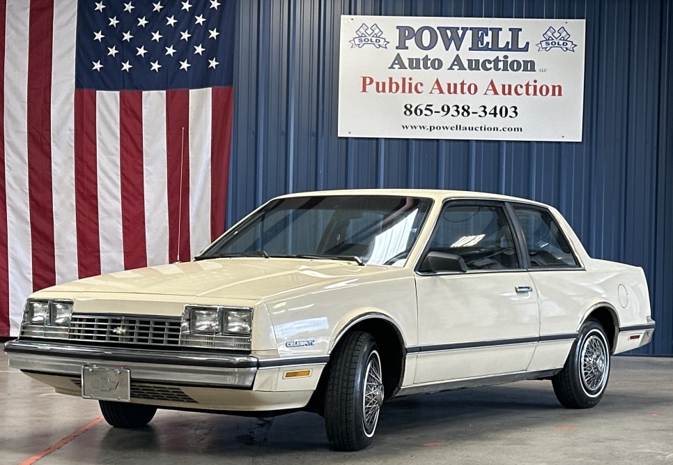 Powell Auction & Realty